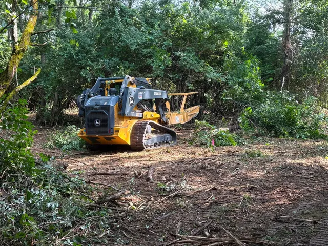 Tracked loader with a forestry mulcher clearing dense brush from a wooded lot