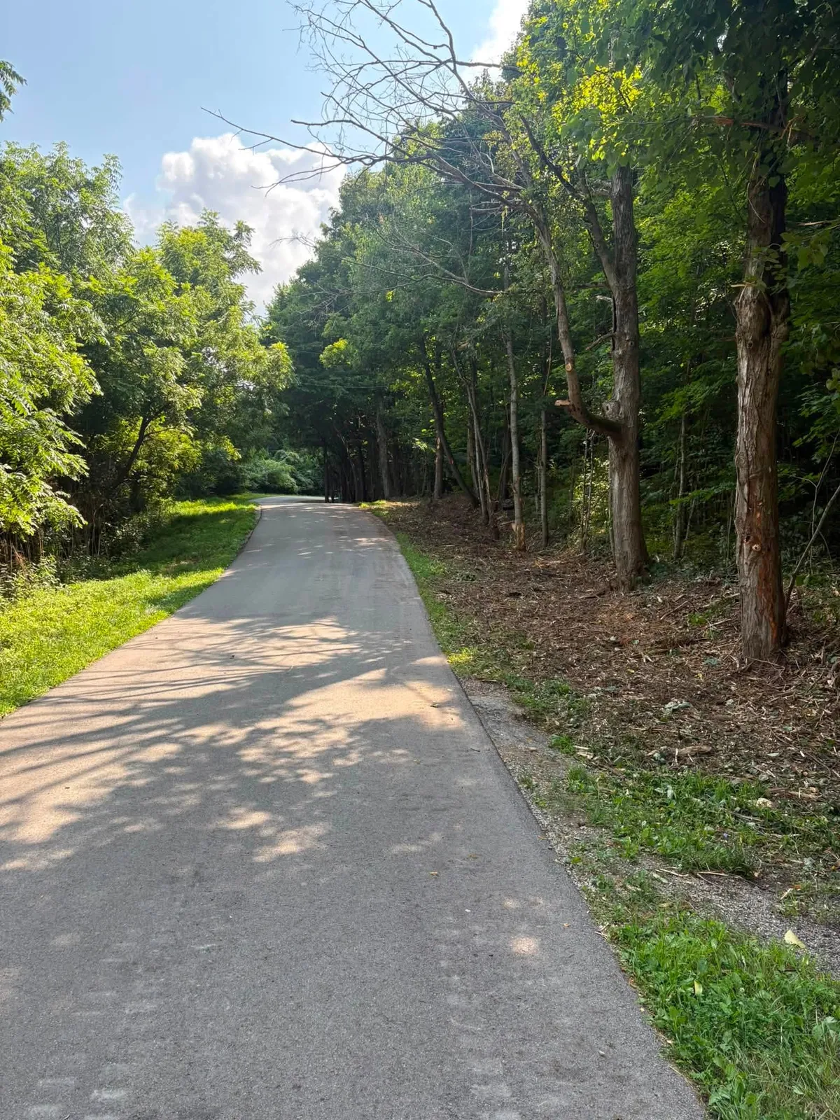 Wooded road with brush and overhanging limbs cleared back from both edges